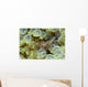 Ornate Anemone Shrimp Anemone Wall Decal