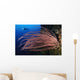 Grand Sea Whip with Wall Decal Design 2