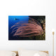 Grand Sea Whip with Wall Decal Design 2