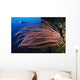 Grand Sea Whip with Wall Decal Design 2