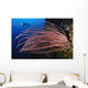 Grand Sea Whip with Wall Decal Design 2