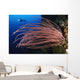 Grand Sea Whip with Wall Decal Design 2