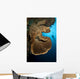 Salvador Dali Sponge with Wall Decal Design 1