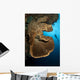 Salvador Dali Sponge with Wall Decal Design 1