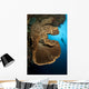 Salvador Dali Sponge with Wall Decal Design 1