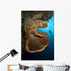 Salvador Dali Sponge with Wall Decal Design 1