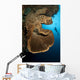 Salvador Dali Sponge with Wall Decal Design 1