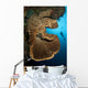Salvador Dali Sponge with Wall Decal Design 1