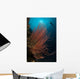 Grand Sea Whip with Wall Decal Design 1