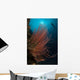 Grand Sea Whip with Wall Decal Design 1