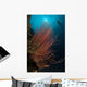 Grand Sea Whip with Wall Decal Design 1