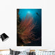 Grand Sea Whip with Wall Decal Design 1