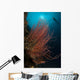 Grand Sea Whip with Wall Decal Design 1