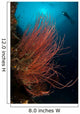 Grand Sea Whip with Wall Decal Design 1