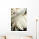 Rare Coleman's Coral Shrimp Wall Decal