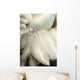 Rare Coleman's Coral Shrimp Wall Decal