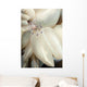 Rare Coleman's Coral Shrimp Wall Decal
