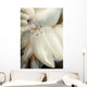 Rare Coleman's Coral Shrimp Wall Decal