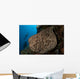 Salvador Dali Sponge Wall Decal