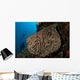 Salvador Dali Sponge Wall Decal
