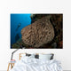 Salvador Dali Sponge Wall Decal