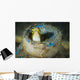 Short-head Sabretooth Blenny Peering Wall Decal Design 2
