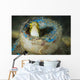 Short-head Sabretooth Blenny Peering Wall Decal Design 2