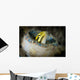 Short-head Sabretooth Blenny Peering Wall Decal Design 1