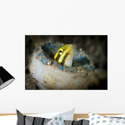 Short-head Sabretooth Blenny Peering Wall Decal Design 1 shown on a wall