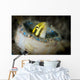 Short-head Sabretooth Blenny Peering Wall Decal Design 1