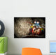 Peacock Mantis Shrimp Peering Wall Decal