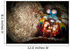 Peacock Mantis Shrimp Peering Wall Decal