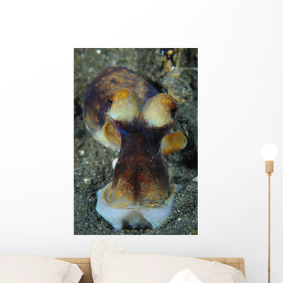 Day Octopus Volcanic Sand Wall Decal shown on a wall