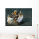 Coconut Octopus Lembeh Strait Wall Decal Design 1