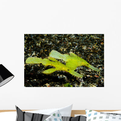 Two Robust Ghost Pipefish Wall Decal shown on a wall