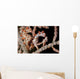 Pair Pygmy Seahorse Sea Wall Decal