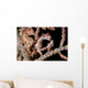 Pair Pygmy Seahorse Sea Wall Decal