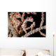 Pair Pygmy Seahorse Sea Wall Decal