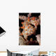Pygmy Seahorse Sea Fan Wall Decal