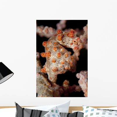 Pygmy Seahorse Sea Fan Wall Decal shown on a wall