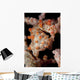 Pygmy Seahorse Sea Fan Wall Decal