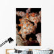 Pygmy Seahorse Sea Fan Wall Decal