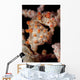 Pygmy Seahorse Sea Fan Wall Decal