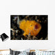 Juvenile Hairy Frogfish Lembeh Wall Decal Design 2