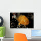 Juvenile Hairy Frogfish Lembeh Wall Decal Design 1