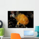 Juvenile Hairy Frogfish Lembeh Wall Decal Design 1