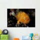 Juvenile Hairy Frogfish Lembeh Wall Decal Design 1