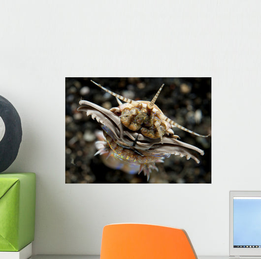 Facial Predatory Bobbit Worm Wall Decal