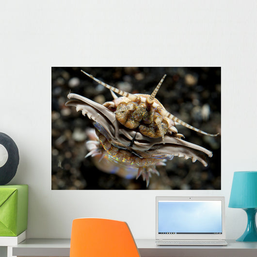 Facial Predatory Bobbit Worm Wall Decal