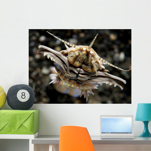 Facial Predatory Bobbit Worm Wall Decal